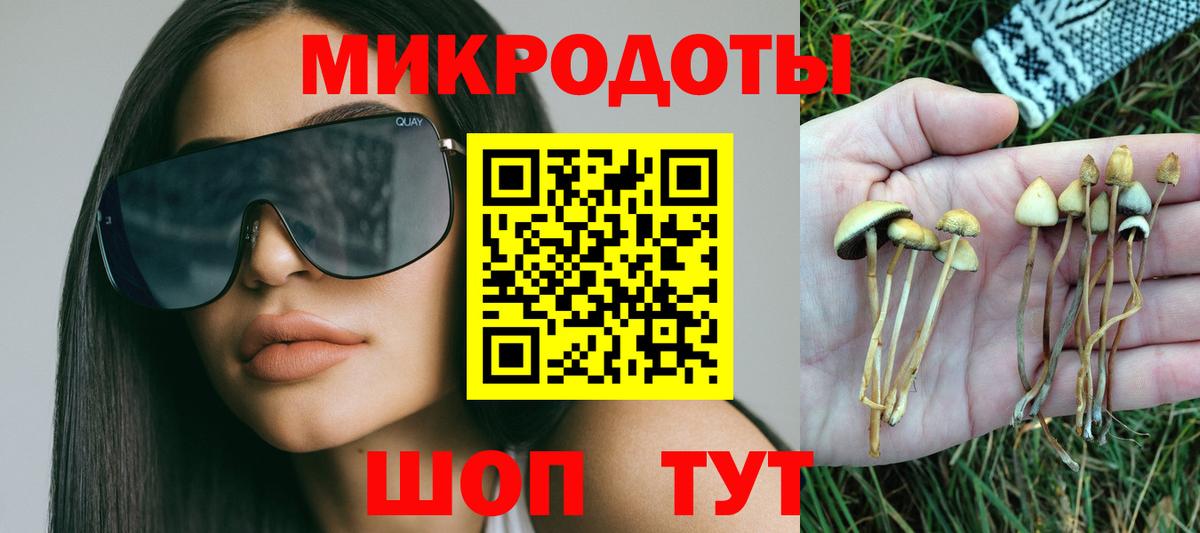 Борзя  Галлюциногенные грибы Psilocybe  как найти   Вход с VPN 